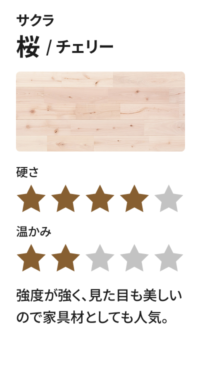 サクラ 桜 / チェリー