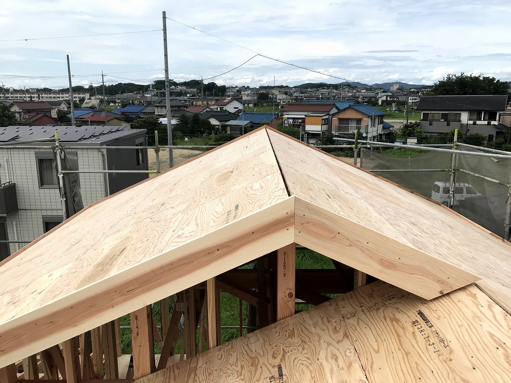 屋根からの風景